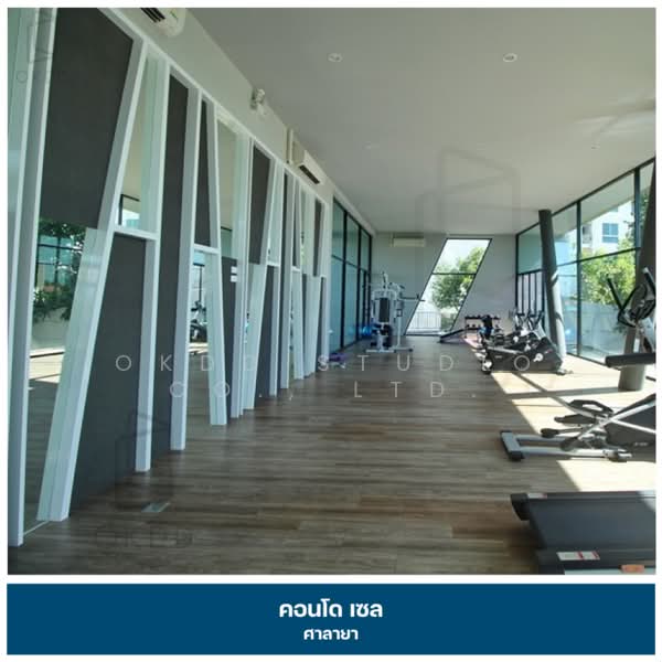 Zelle Salaya, Nakhon Pathom, 208 Salaya Road, Salaya, Phuttha Mon Thon, Nakhon Pathom, 1 Bedroom, 30 sqm, Condo For Sale, by OKDD STUDIO Co., Ltd., 500223035 - DDproperty.com