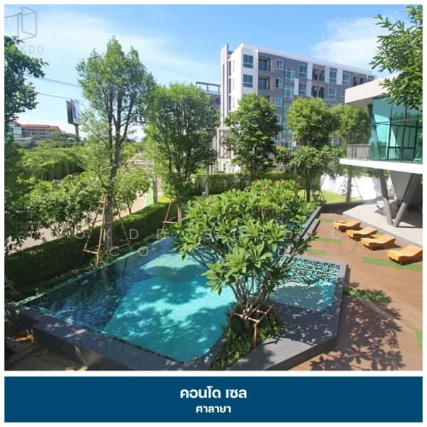 Zelle Salaya : เซล ศาลายา, นครปฐม, 208 ถนนศาลายา-นครชัยศรี, ศาลายา, พุทธมณฑล, นครปฐม, 30 ตร.ม., คอนโด ขาย, โดย OKDD STUDIO Co., Ltd., 500223035 - DDproperty.com