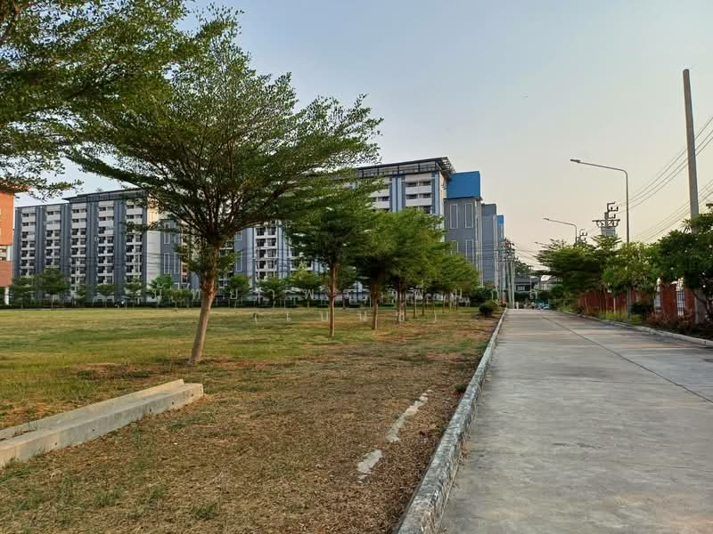 Muang Thong Bangna : เมืองทองบางนา, สมุทรปราการ, บางโฉลง, บางพลี, สมุทรปราการ, 42 ตร.ม., คอนโด ให้เช่า, โดย นัทยาพร พึ่มกุล (เบนซ์), 500223037 - DDproperty.com