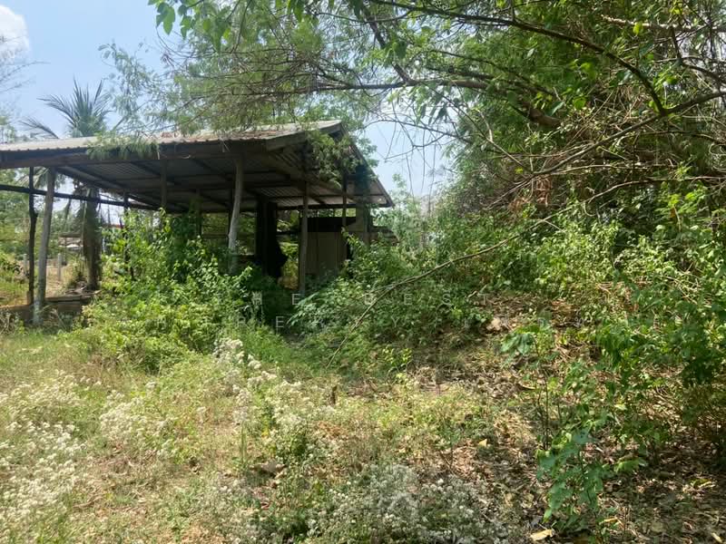 ที่ดินหนองบัว นครสวรรค์, Nakhon Sawan, Nong Bua, Nong Bua, Nakhon Sawan, , 1,600 sqm, Land For Sale, by The Best Property เฟิร์ท, 500223153 - DDproperty.com