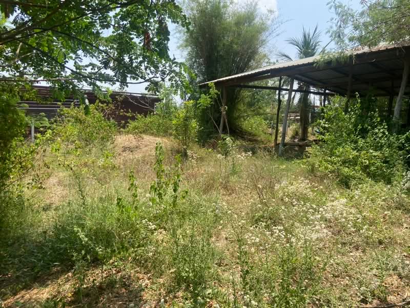 ที่ดินหนองบัว นครสวรรค์, นครสวรรค์, หนองบัว, หนองบัว, นครสวรรค์, 1,600 ตร.ม., ที่ดิน ขาย, โดย The Best Property เฟิร์ท, 500223153 - DDproperty.com