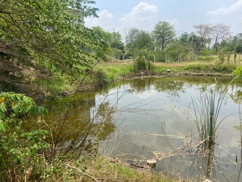 ที่ดินหนองบัว นครสวรรค์, นครสวรรค์, หนองบัว, หนองบัว, นครสวรรค์, 1,600 ตร.ม., ที่ดิน ขาย, โดย The Best Property เฟิร์ท, 500223153 - DDproperty.com