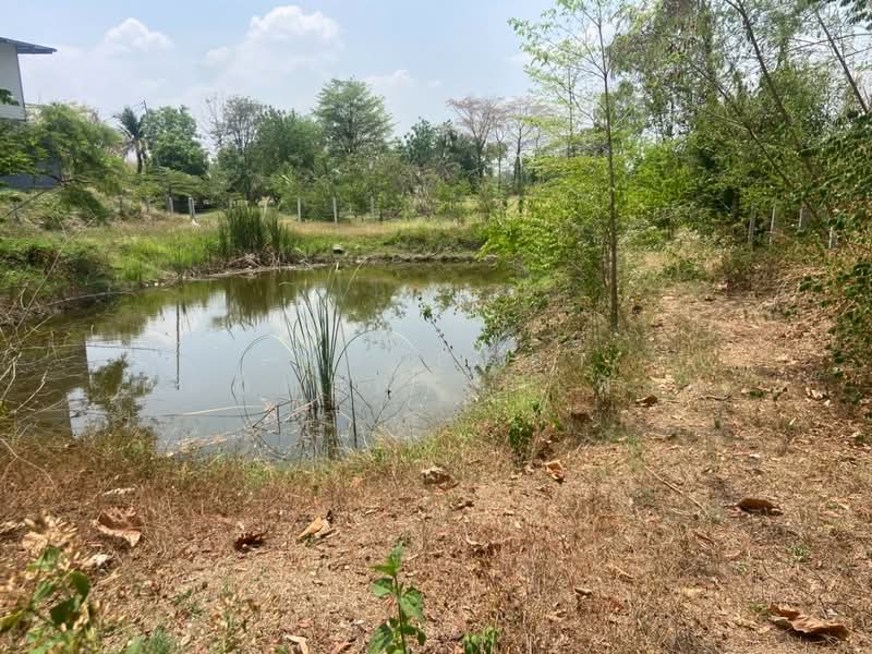 ที่ดินหนองบัว นครสวรรค์, Nakhon Sawan, Nong Bua, Nong Bua, Nakhon Sawan, , 1,600 sqm, Land For Sale, by The Best Property เฟิร์ท, 500223153 - DDproperty.com