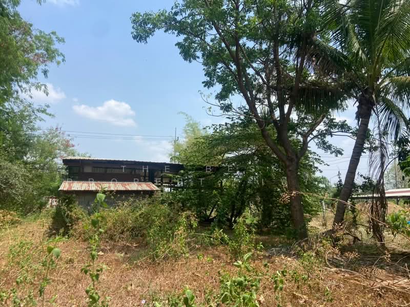 ที่ดินหนองบัว นครสวรรค์, นครสวรรค์, หนองบัว, หนองบัว, นครสวรรค์, 1,600 ตร.ม., ที่ดิน ขาย, โดย The Best Property เฟิร์ท, 500223153 - DDproperty.com