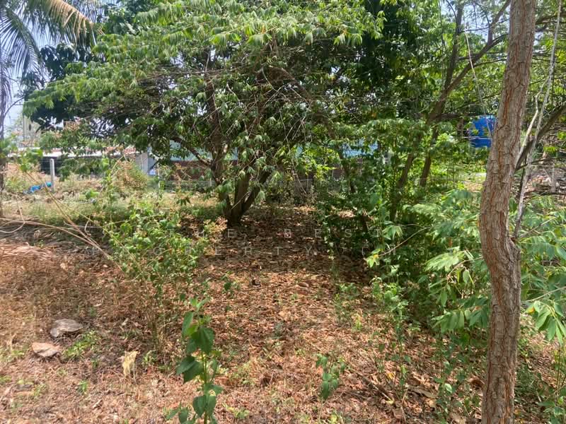ที่ดินหนองบัว นครสวรรค์, Nakhon Sawan, Nong Bua, Nong Bua, Nakhon Sawan, , 1,600 sqm, Land For Sale, by The Best Property เฟิร์ท, 500223153 - DDproperty.com