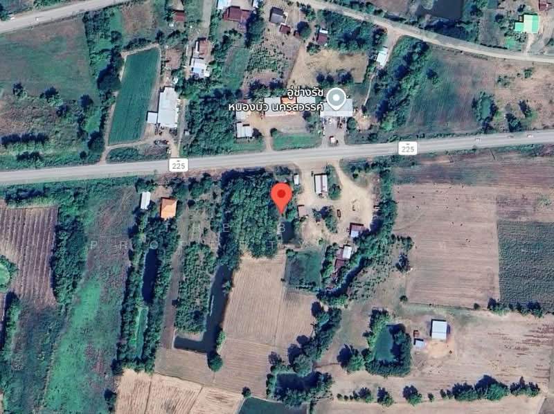 ที่ดินหนองบัว นครสวรรค์, นครสวรรค์, หนองบัว, หนองบัว, นครสวรรค์, 1,600 ตร.ม., ที่ดิน ขาย, โดย The Best Property เฟิร์ท, 500223153 - DDproperty.com