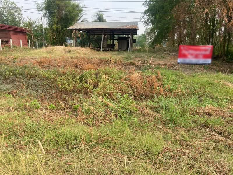 ที่ดินหนองบัว นครสวรรค์, Nakhon Sawan, Nong Bua, Nong Bua, Nakhon Sawan, , 1,600 sqm, Land For Sale, by The Best Property เฟิร์ท, 500223153 - DDproperty.com