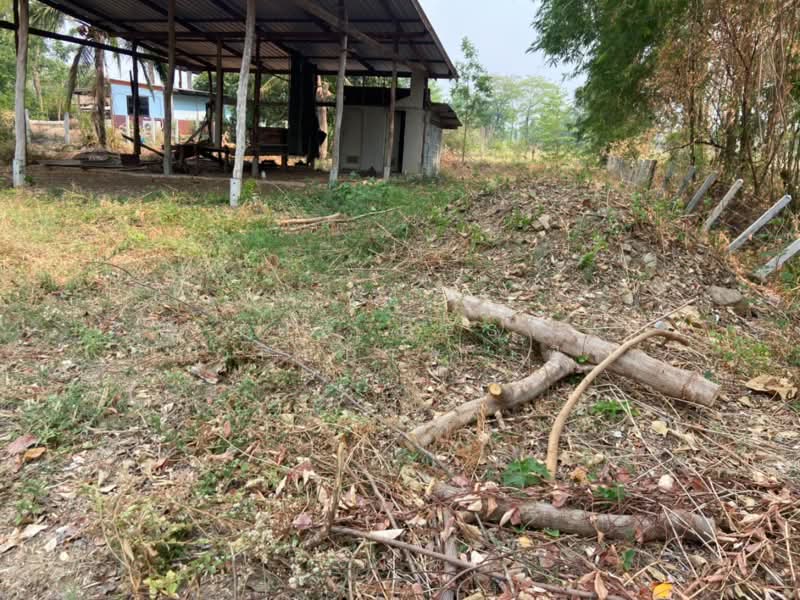 ที่ดินหนองบัว นครสวรรค์, นครสวรรค์, หนองบัว, หนองบัว, นครสวรรค์, 1,600 ตร.ม., ที่ดิน ขาย, โดย The Best Property เฟิร์ท, 500223153 - DDproperty.com