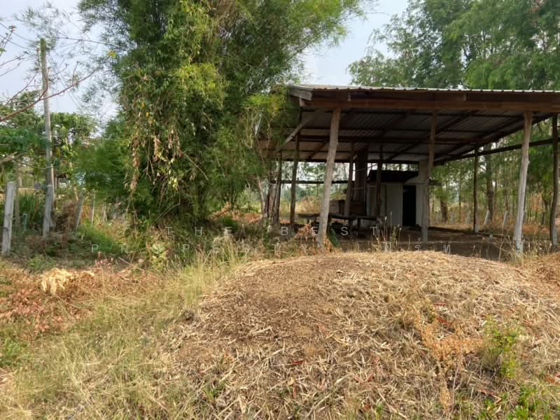 ที่ดินหนองบัว นครสวรรค์, Nakhon Sawan, Nong Bua, Nong Bua, Nakhon Sawan, , 1,600 sqm, Land For Sale, by The Best Property เฟิร์ท, 500223153 - DDproperty.com