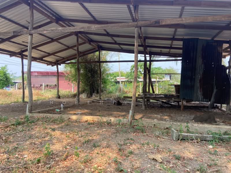 ที่ดินหนองบัว นครสวรรค์, Nakhon Sawan, Nong Bua, Nong Bua, Nakhon Sawan, , 1,600 sqm, Land For Sale, by The Best Property เฟิร์ท, 500223153 - DDproperty.com