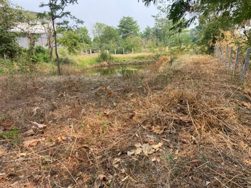 ที่ดินหนองบัว นครสวรรค์, นครสวรรค์, หนองบัว, หนองบัว, นครสวรรค์, 1,600 ตร.ม., ที่ดิน ขาย, โดย The Best Property เฟิร์ท, 500223153 - DDproperty.com