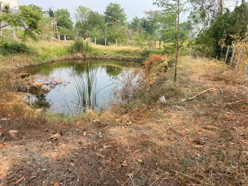 ที่ดินหนองบัว นครสวรรค์, นครสวรรค์, หนองบัว, หนองบัว, นครสวรรค์, 1,600 ตร.ม., ที่ดิน ขาย, โดย The Best Property เฟิร์ท, 500223153 - DDproperty.com