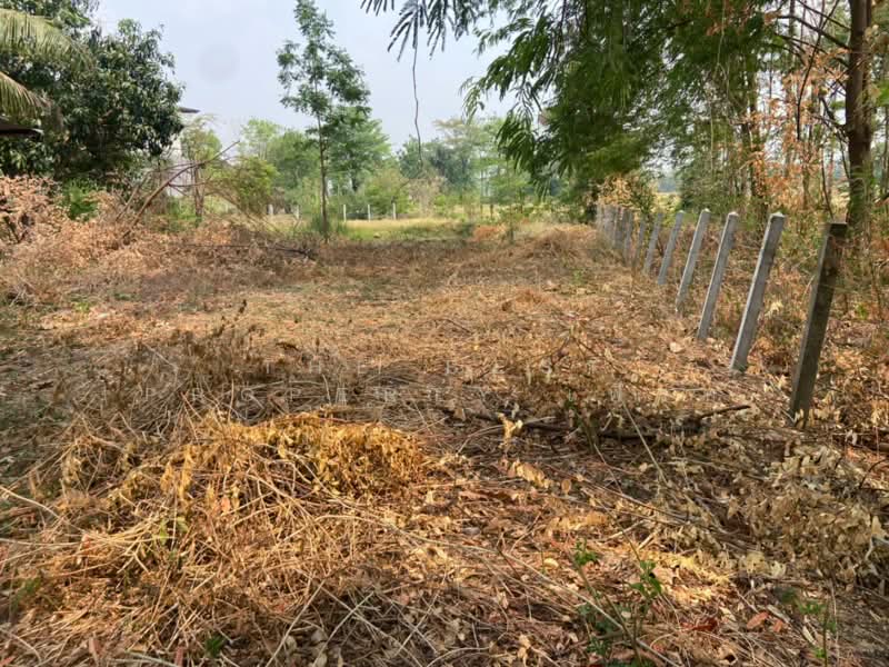 ที่ดินหนองบัว นครสวรรค์, นครสวรรค์, หนองบัว, หนองบัว, นครสวรรค์, 1,600 ตร.ม., ที่ดิน ขาย, โดย The Best Property เฟิร์ท, 500223153 - DDproperty.com