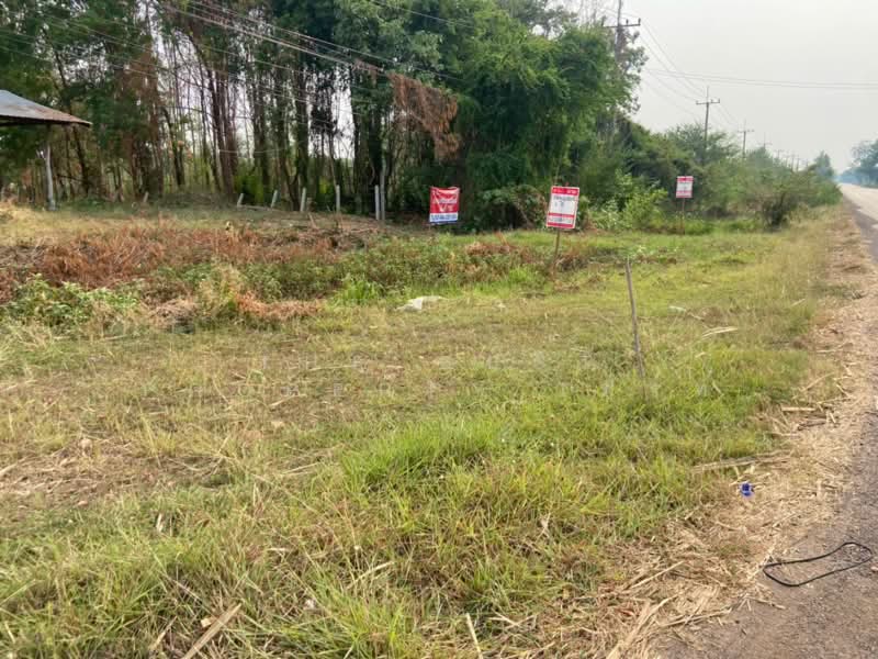 ที่ดินหนองบัว นครสวรรค์, นครสวรรค์, หนองบัว, หนองบัว, นครสวรรค์, 1,600 ตร.ม., ที่ดิน ขาย, โดย The Best Property เฟิร์ท, 500223153 - DDproperty.com