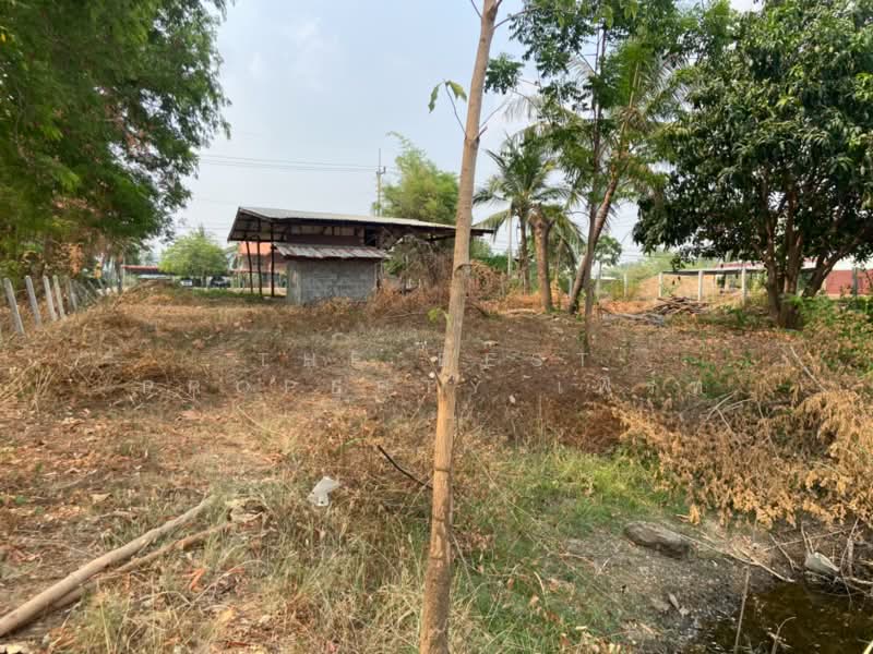 ที่ดินหนองบัว นครสวรรค์, นครสวรรค์, หนองบัว, หนองบัว, นครสวรรค์, 1,600 ตร.ม., ที่ดิน ขาย, โดย The Best Property เฟิร์ท, 500223153 - DDproperty.com
