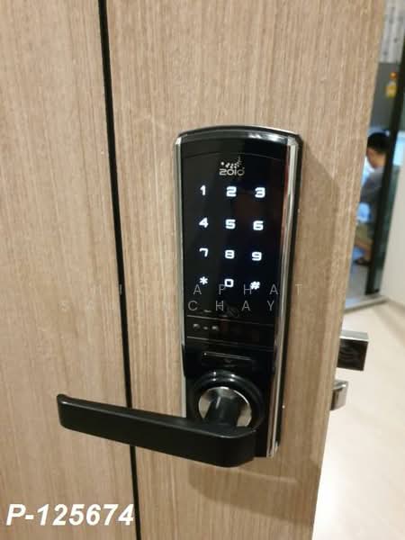 The Excel Groove Lasalle 52, Bangkok, Soi Sukhumvit 105 Lasalle Road, Bang Na, Bang Na, Bangkok, 1 Bedroom, 29 sqm, Condo For Rent, by Nichaphat Sakunchayapha, 500223195 - DDproperty.com