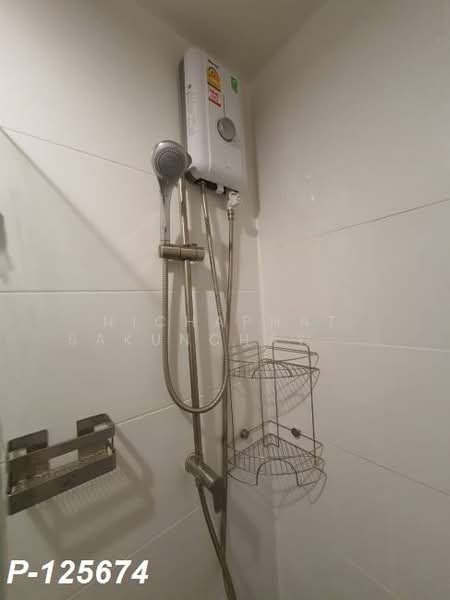 The Excel Groove Lasalle 52, Bangkok, Soi Sukhumvit 105 Lasalle Road, Bang Na, Bang Na, Bangkok, 1 Bedroom, 29 sqm, Condo For Rent, by Nichaphat Sakunchayapha, 500223195 - DDproperty.com