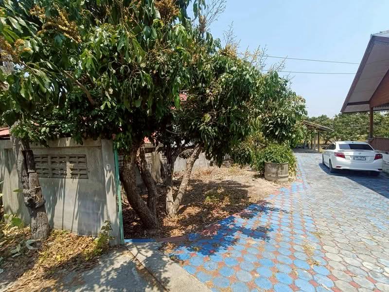 ขาย บ้านเดี่ยว โซนอำเภอดอยหล่อ จ.เชียงใหม่, Chiang Mai, Doi Lo, Doi Lo, Chiang Mai, 2 Bedrooms, 85 sqm, Single Detached House For Sale, by Armon Yuenyong, 500223255 - DDproperty.com