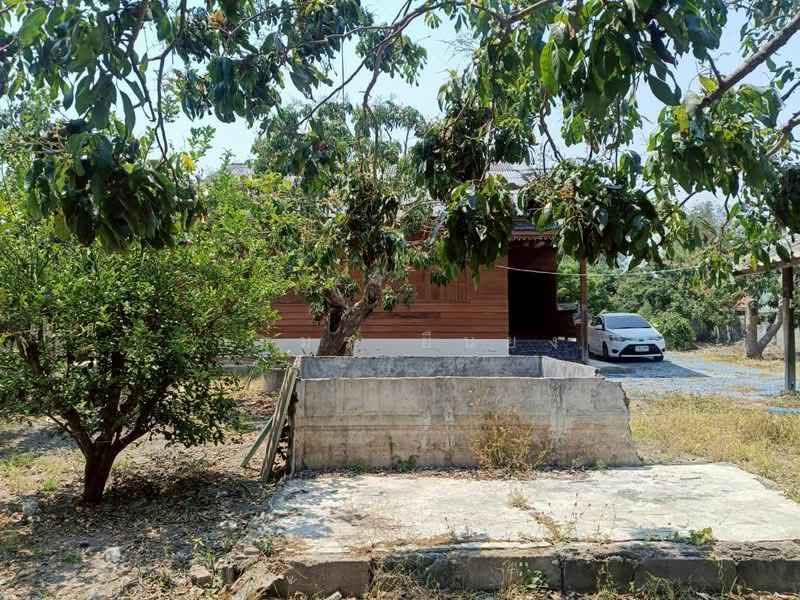 ขาย บ้านเดี่ยว โซนอำเภอดอยหล่อ จ.เชียงใหม่, Chiang Mai, Doi Lo, Doi Lo, Chiang Mai, 2 Bedrooms, 85 sqm, Single Detached House For Sale, by Armon Yuenyong, 500223255 - DDproperty.com