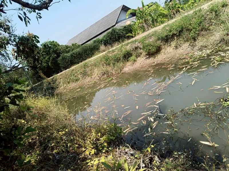 ขาย บ้านเดี่ยว โซนอำเภอดอยหล่อ จ.เชียงใหม่, Chiang Mai, Doi Lo, Doi Lo, Chiang Mai, 2 Bedrooms, 85 sqm, Single Detached House For Sale, by Armon Yuenyong, 500223255 - DDproperty.com