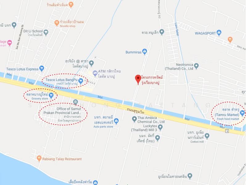 Sap Rung Rueang Bang Pu Project, Commercial building 3.5 stories 4 multipurpose rooms, with rooftop, Samut Prakan, สุขุมวิท, Bang Pu Mai, Muang Samut Prakarn, Samut Prakan, , 224 sqm, Shophouse For Rent, by Sirithong Saetang, 500223346 - DDproperty.com