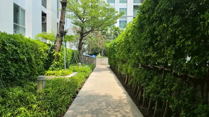 ขาย - The Key Cheangwattana : เดอะ คีย์ แจ้งวัฒนะ, นนทบุรี