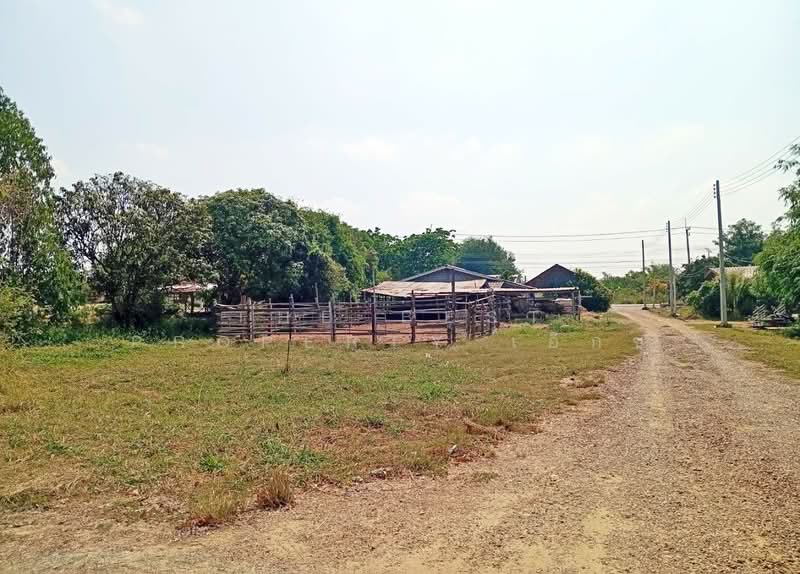 อพาร์ทเม้นท์กำแพงแสน นครปฐม, Nakhon Pathom, Thung Luk Nok, Kamphaeng Saen, Nakhon Pathom, , 100 sqm, Business For Sale, by The Best Property เอ็กซ์, 500223381 - DDproperty.com