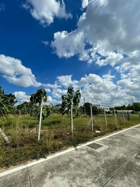 Land 379 sq.wah Krating Lai, Chon Buri (Pattaya), Na Kloe, Bang Lamung (Pattaya), Chon Buri (Pattaya), , 1,516 sqm, Land For Sale, by HOME Real Estate Service, 500223396 - DDproperty.com
