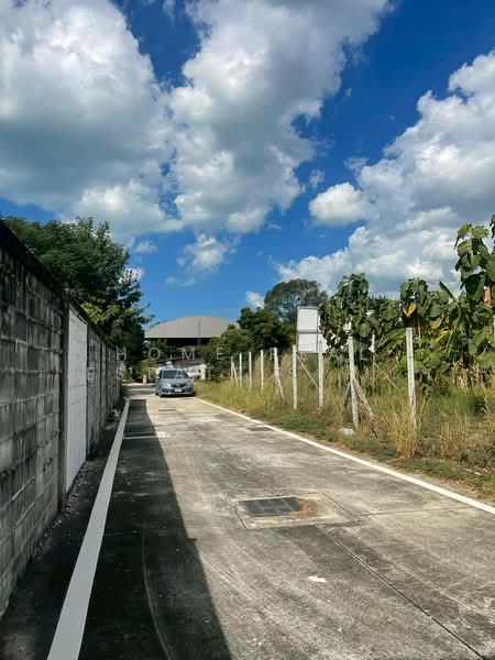 ที่ดิน 379 ตร.วา กระทิงลาย, ชลบุรี, นาเกลือ, บางละมุง, ชลบุรี, 1,516 ตร.ม., ที่ดิน ขาย, โดย HOME Real Estate Service, 500223396 - DDproperty.com