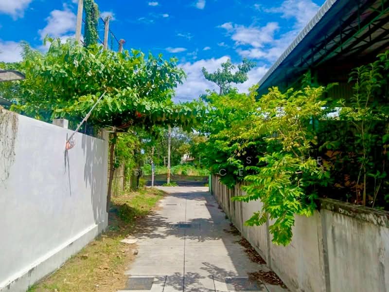 ที่ดิน 379 ตร.วา กระทิงลาย, ชลบุรี, นาเกลือ, บางละมุง, ชลบุรี, 1,516 ตร.ม., ที่ดิน ขาย, โดย HOME Real Estate Service, 500223396 - DDproperty.com