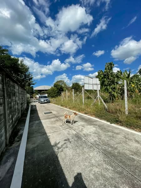 Land 379 sq.wah Krating Lai, Chon Buri (Pattaya), Na Kloe, Bang Lamung (Pattaya), Chon Buri (Pattaya), , 1,516 sqm, Land For Sale, by HOME Real Estate Service, 500223396 - DDproperty.com