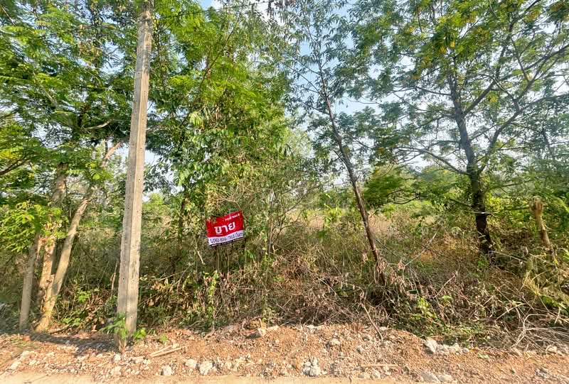 ที่ดินอุบลรัตน์ ขอนแก่น, Khon Kaen, Khuan Ubonrat, Ubol Ratana, Khon Kaen, , 320 sqm, Land For Sale, by The Best Property โมทย์, 500223398 - DDproperty.com