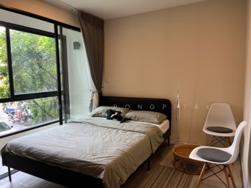 IKON Sukhumvit 77, Bangkok, 182 Sukhumvit Road 77, Suan Luang, Suan Luang, Bangkok, Studio, 23 sqm, Condo For Rent, by Soraya Pongpitak, 500223418 - DDproperty.com