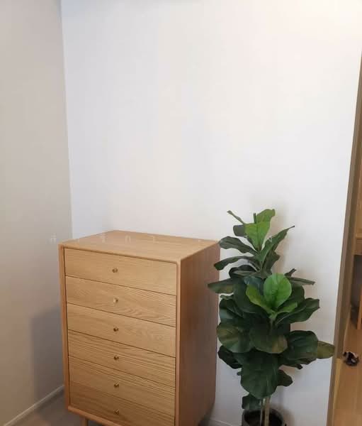 Quintara Treehaus Sukhumvit 42, Bangkok, Soi Bar Bose 2, Sukhumvit 42, Phra Kanong, Khlong Toei, Bangkok, 2 Bedrooms, 56 sqm, Condo For Rent, by Sarika Saengkam, 500223422 - DDproperty.com