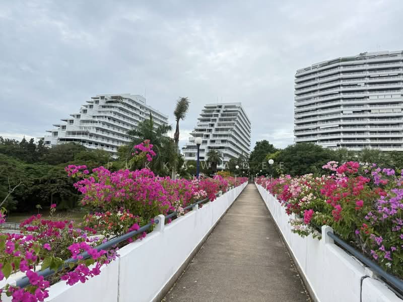 Jomtien Condotel and Village : จอมเทียน คอนโดเทล แอนด์ วิลเลจ, ชลบุรี, 318/39 ถ.ทัพพระยา, หนองปรือ, บางละมุง, ชลบุรี, 36 ตร.ม., คอนโด ขาย, โดย Pukkawadee Thapmathi, 500223444 - DDproperty.com