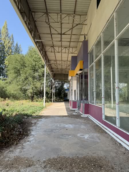 เลขที่ 129 หมู่ที่ 5 ถนนมิตรภาพ(ทล.2) หลักกิโลเมตรที่ 28+200 ตำบลโนนแดง กิ่งอำเภอโนนศิลา จังหวัดขอนแ, ขอนแก่น, มิตรภาพ, โนนแดง, โนนศิลา, ขอนแก่น, 3,097 ตร.ม., โกดัง-โรงงาน ขาย, โดย วานิสา ตโนภาส, 500223477 - DDproperty.com