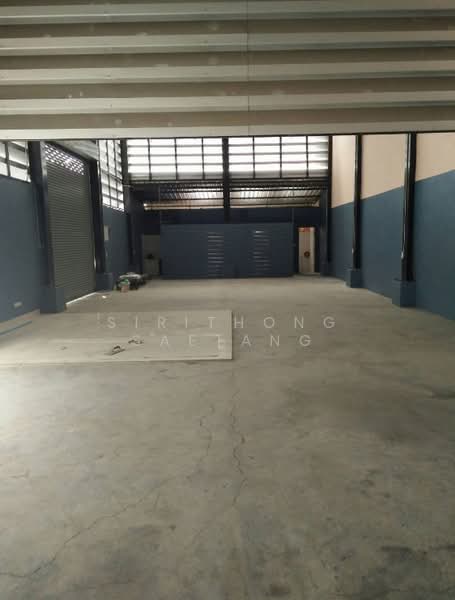 โกดัง คลังสินค้า ในโครงการทรัพย์รุ่งเรืองบางปู ถนนสุขุมวิท บางปูใหม่ ใกล้โลตัสบางปู, สมุทรปราการ, สุขุมวิท, บางปูใหม่, เมืองสมุทรปราการ, สมุทรปราการ, 240 ตร.ม., โกดัง-โรงงาน ให้เช่า, โดย Sirithong Saetang, 500223481 - DDproperty.com