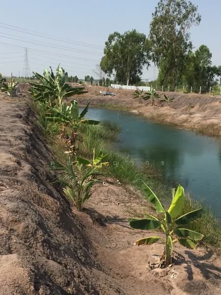 ขายที่ดินเปล่า 4 ไร่ ถมแล้ว ล้อมรั้ว มีบ่อน้ำ ราคาดี ทำเลกำลังโต, Phra Nakhon Si Ayutthaya, Wat Yom, Bang Pa-In, Phra Nakhon Si Ayutthaya, , 6,400 sqm, Land Option To Buy, by คุณ วิญากร, 500223502 - DDproperty.com