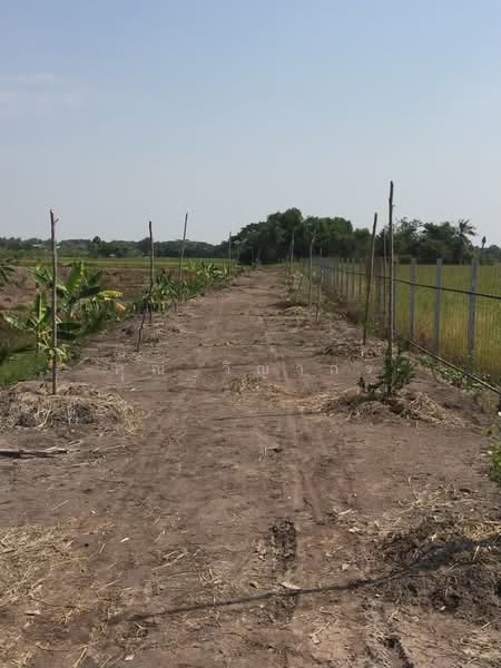 ขายที่ดินเปล่า 4 ไร่ ถมแล้ว ล้อมรั้ว มีบ่อน้ำ ราคาดี ทำเลกำลังโต, พระนครศรีอยุธยา, วัดยม, บางปะอิน, พระนครศรีอยุธยา, 6,400 ตร.ม., ที่ดิน ขายดาวน์, โดย คุณ วิญากร, 500223502 - DDproperty.com