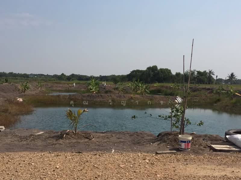 ขายที่ดินเปล่า 4 ไร่ ถมแล้ว ล้อมรั้ว มีบ่อน้ำ ราคาดี ทำเลกำลังโต, พระนครศรีอยุธยา, วัดยม, บางปะอิน, พระนครศรีอยุธยา, 6,400 ตร.ม., ที่ดิน ขายดาวน์, โดย คุณ วิญากร, 500223502 - DDproperty.com