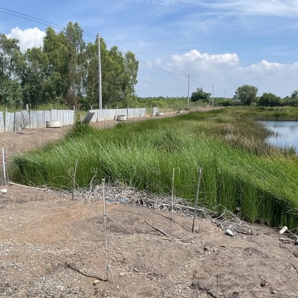 ขายที่ดินเปล่า 4 ไร่ ถมแล้ว ล้อมรั้ว มีบ่อน้ำ ราคาดี ทำเลกำลังโต, พระนครศรีอยุธยา, วัดยม, บางปะอิน, พระนครศรีอยุธยา, 6,400 ตร.ม., ที่ดิน ขายดาวน์, โดย คุณ วิญากร, 500223502 - DDproperty.com