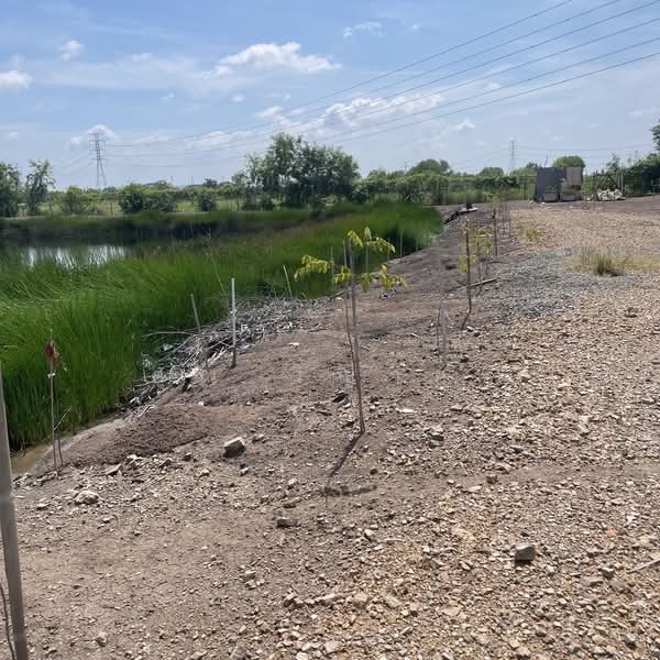 ขายที่ดินเปล่า 4 ไร่ ถมแล้ว ล้อมรั้ว มีบ่อน้ำ ราคาดี ทำเลกำลังโต, Phra Nakhon Si Ayutthaya, Wat Yom, Bang Pa-In, Phra Nakhon Si Ayutthaya, , 6,400 sqm, Land Option To Buy, by คุณ วิญากร, 500223502 - DDproperty.com