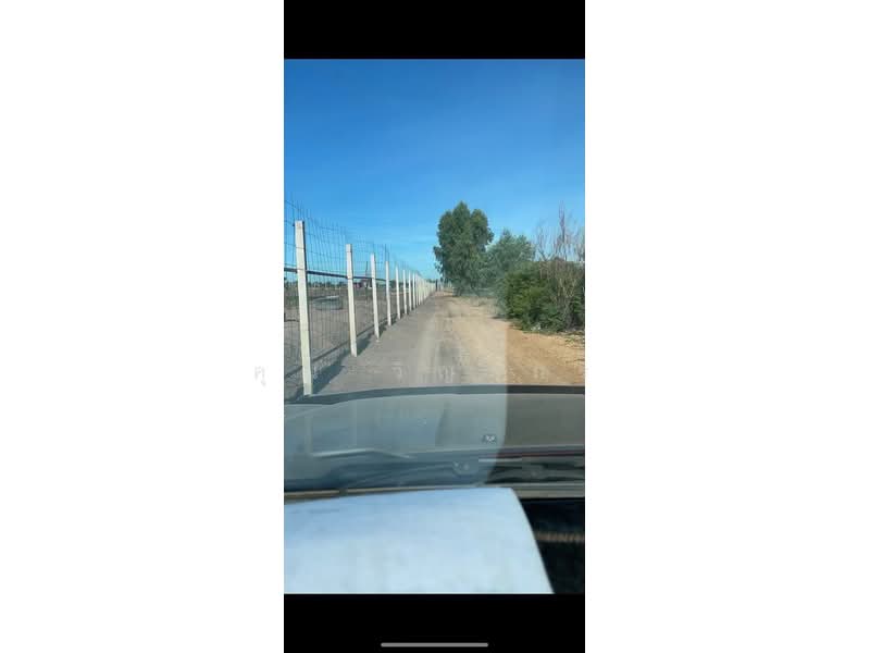 ขายที่ดินเปล่า 4 ไร่ ถมแล้ว ล้อมรั้ว มีบ่อน้ำ ราคาดี ทำเลกำลังโต, Phra Nakhon Si Ayutthaya, Wat Yom, Bang Pa-In, Phra Nakhon Si Ayutthaya, , 6,400 sqm, Land Option To Buy, by คุณ วิญากร, 500223502 - DDproperty.com