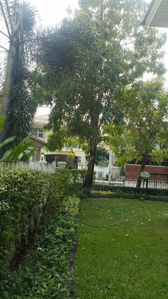 Supalai Suanluang, Bangkok, Chaloem Phrakiat Rama 9 Road, Prawet, Prawet, Bangkok, 4 Bedrooms, 300 sqm, Single Detached House For Rent, by Rapeephan, 500223515 - DDproperty.com