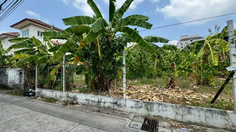 ที่ดินเปล่า ซอยประชาชื่น 28, กรุงเทพ, ถนนประชาชื่น, วงศ์สว่าง, บางซื่อ, กรุงเทพ, 520 ตร.ม., ที่ดิน ขาย, โดย นวลสุวีร์ พยุง, 500223533 - DDproperty.com