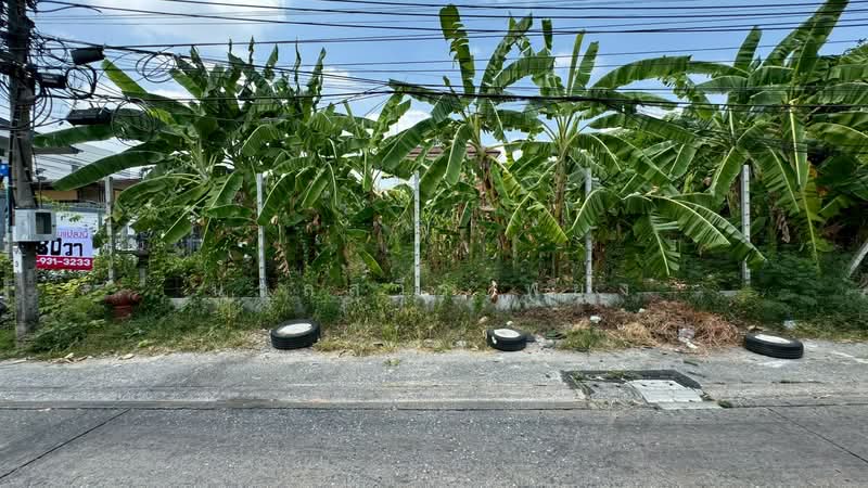 ที่ดินเปล่า ซอยประชาชื่น 28, กรุงเทพ, ถนนประชาชื่น, วงศ์สว่าง, บางซื่อ, กรุงเทพ, 520 ตร.ม., ที่ดิน ขาย, โดย นวลสุวีร์ พยุง, 500223533 - DDproperty.com