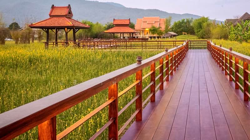 ให้เช่าบ้านเดี่ยว 4 ห้องนอน แม่เหียะ เชียงใหม่ | ใกล้โรงเรียนนานาชาติ, เชียงใหม่, แม่เหียะ, เมืองเชียงใหม่, เชียงใหม่, 250 ตร.ม., บ้านเดี่ยว ให้เช่า, โดย เอลียาห์ ริดจ์ลี่ย์, 500223550 - DDproperty.com