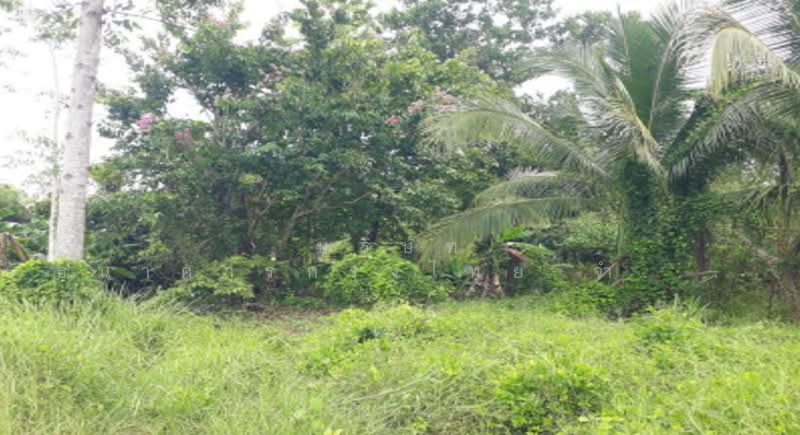 For Sale - ที่ดินเปล่า ตำบลศรีวิไล อำเภอศรีวิไล จังหวัดบึงกาฬ, Bueng Kan