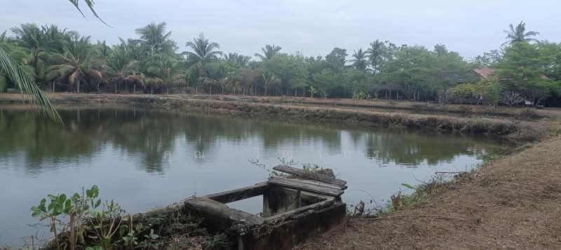 ขายบ้านเดี่ยวพร้อมที่ดิน 3 ไร่ 73 ตรว. ทำเลดี ใกล้ตลาดน้ำอัมพวา, Samut Songkhram, Lat Yai, Muang Samut Songkhram, Samut Songkhram, 2 Bedrooms, 5,092 sqm, Single Detached House For Sale, by คุณ วิญากร, 500223623 - DDproperty.com