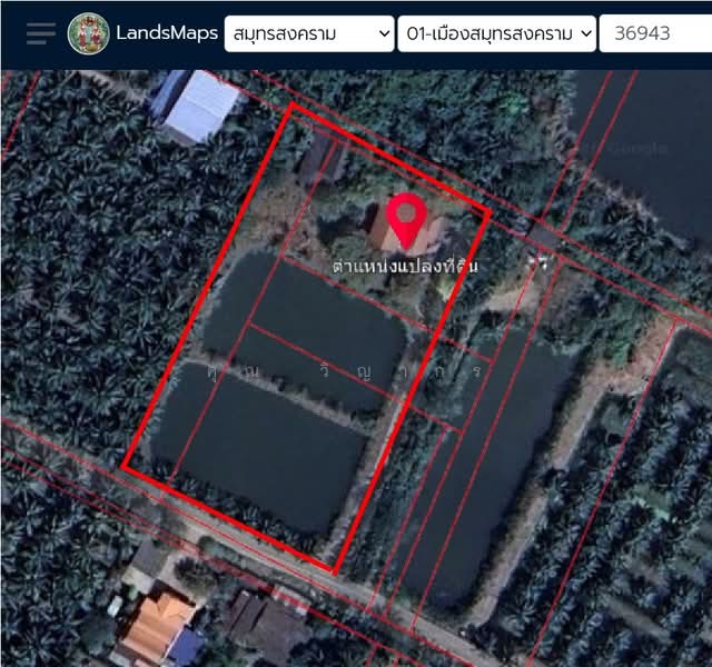 ขายบ้านเดี่ยวพร้อมที่ดิน 3 ไร่ 73 ตรว. ทำเลดี ใกล้ตลาดน้ำอัมพวา, Samut Songkhram, Lat Yai, Muang Samut Songkhram, Samut Songkhram, 2 Bedrooms, 5,092 sqm, Single Detached House For Sale, by คุณ วิญากร, 500223623 - DDproperty.com